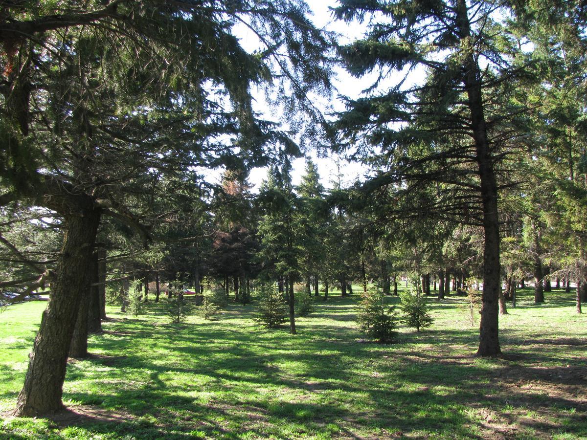 Hotel Bon Bon Park & Boyana